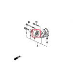 Ролик натягувача приводного ременя Honda 31180-RAA-A01 Ролик натягувача приводного ременя Honda 31180-RAA-A01
