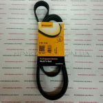 Ремень приводной Continental 7PK1730 Ремень приводной Continental 7PK1730